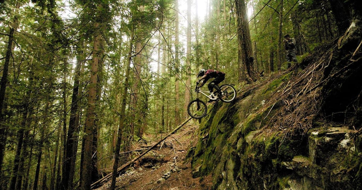 Downhill bmx bike hotsell