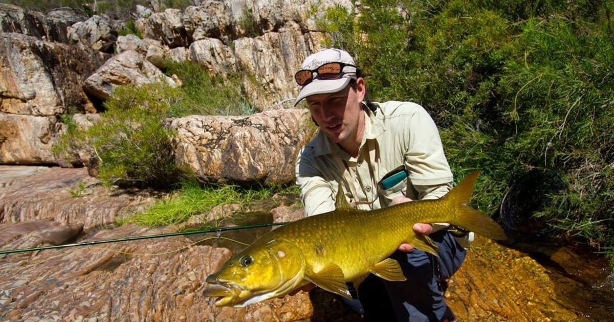 fly fishing for clanwilliam yellowfish