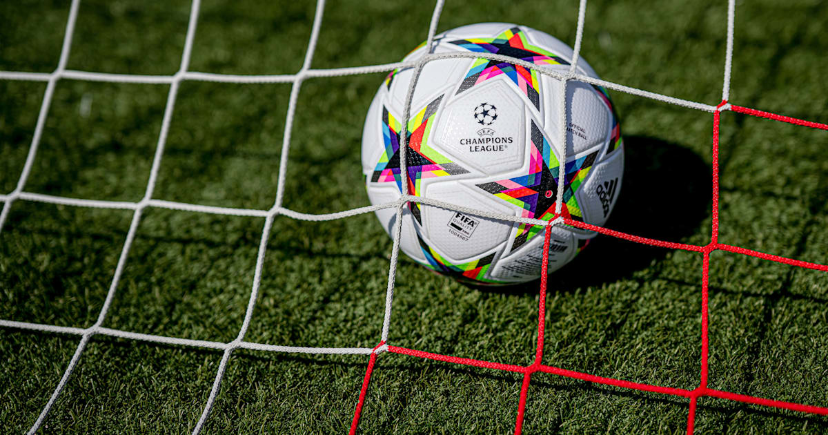 Tredition Weisheiten Und Torheiten über Hund Und Katze - Galaxus