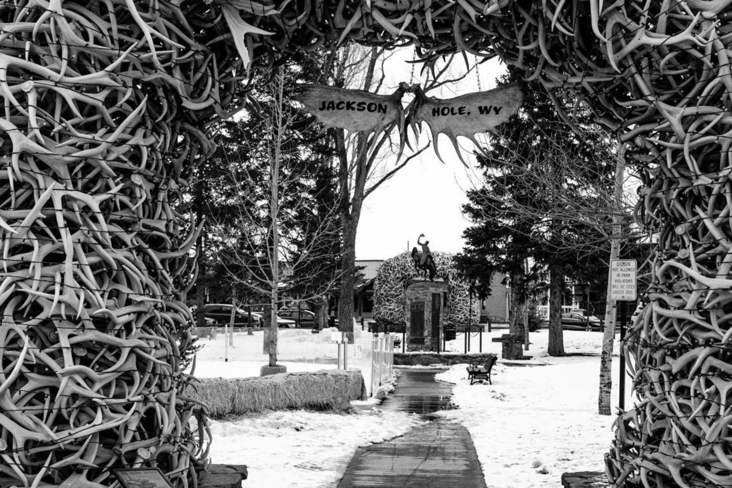 CHAMäLEON Photos aus Jackson Hole, WY