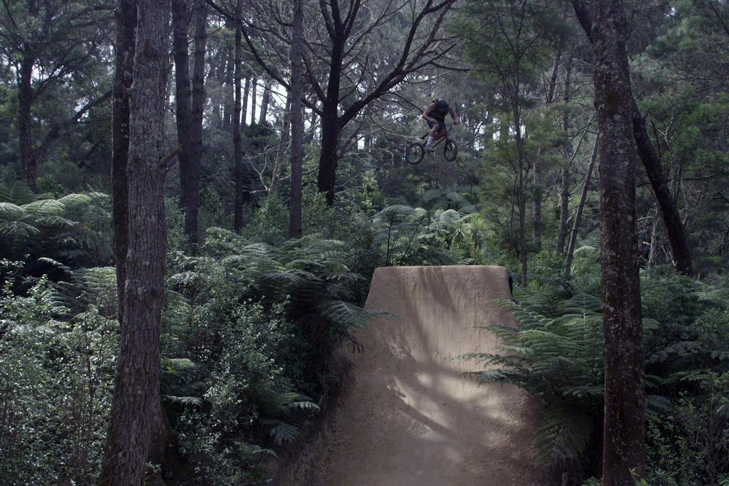 Art and Passion in Motion Building BMX Dirt Jumps