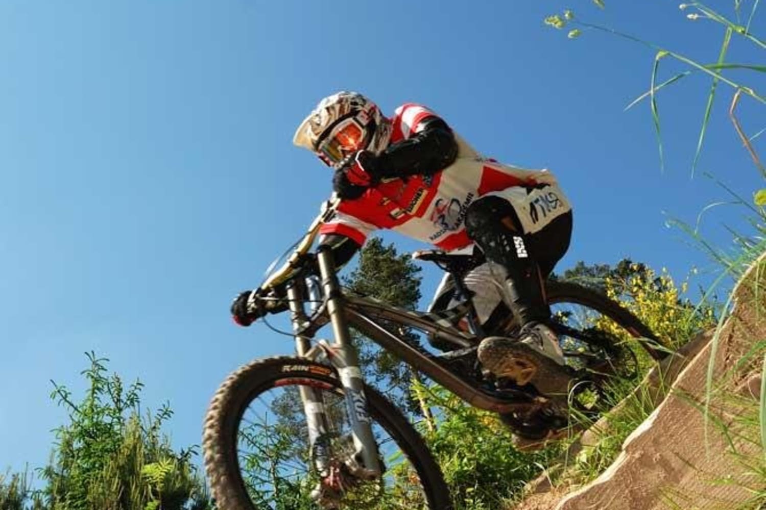 bikepark bad wildbad im portrat alle wichtigen infos