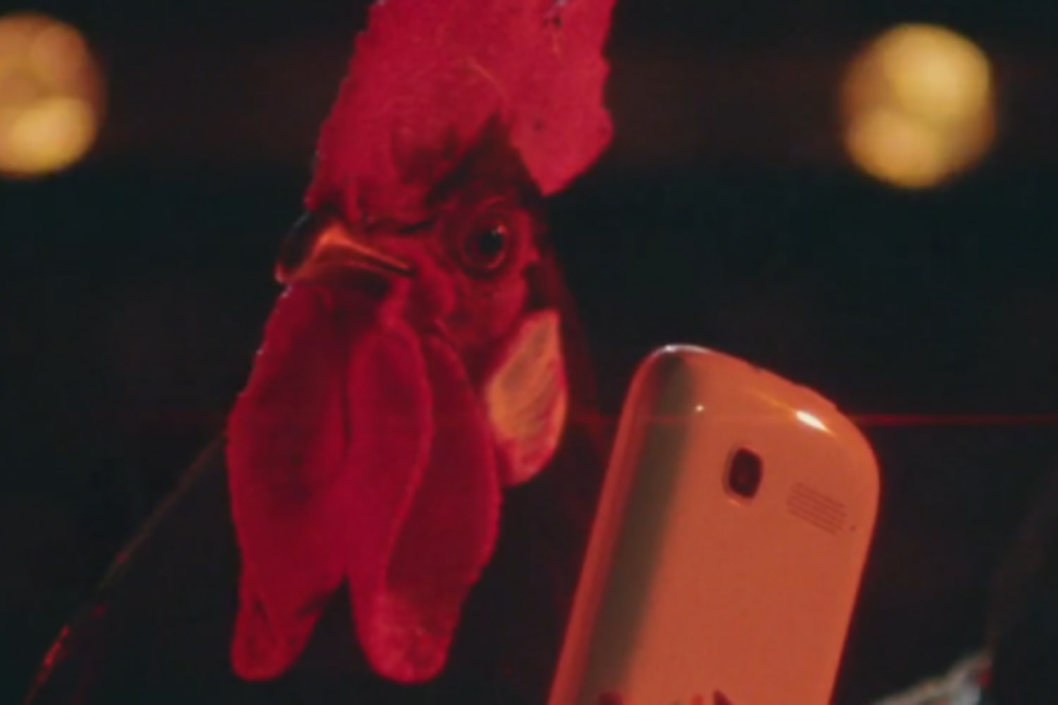 Vuelve La Red Bull Batalla De Los Gallos Más Digital Que Nunca