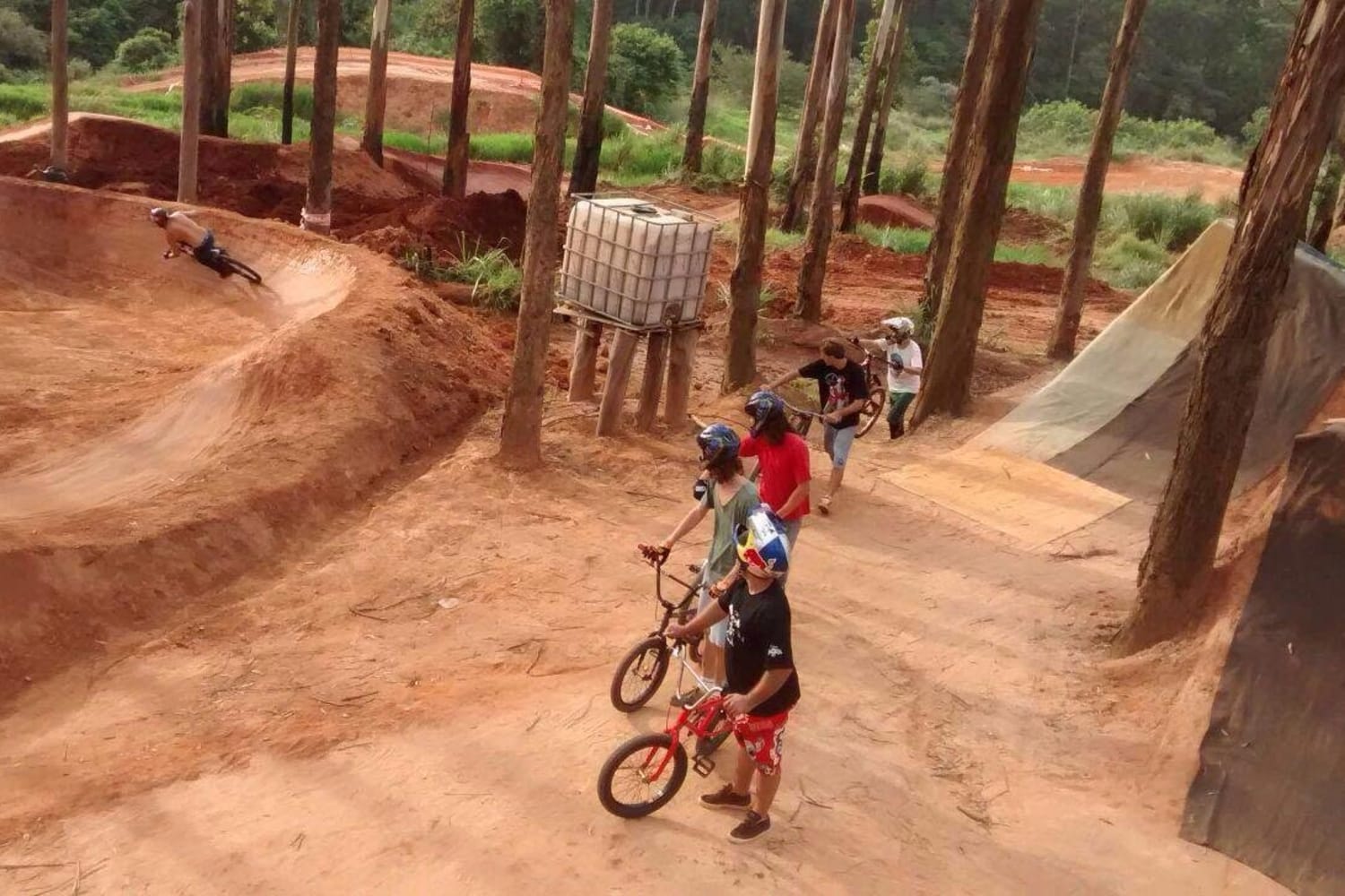 Melhores pistas de bike: Horto Trails