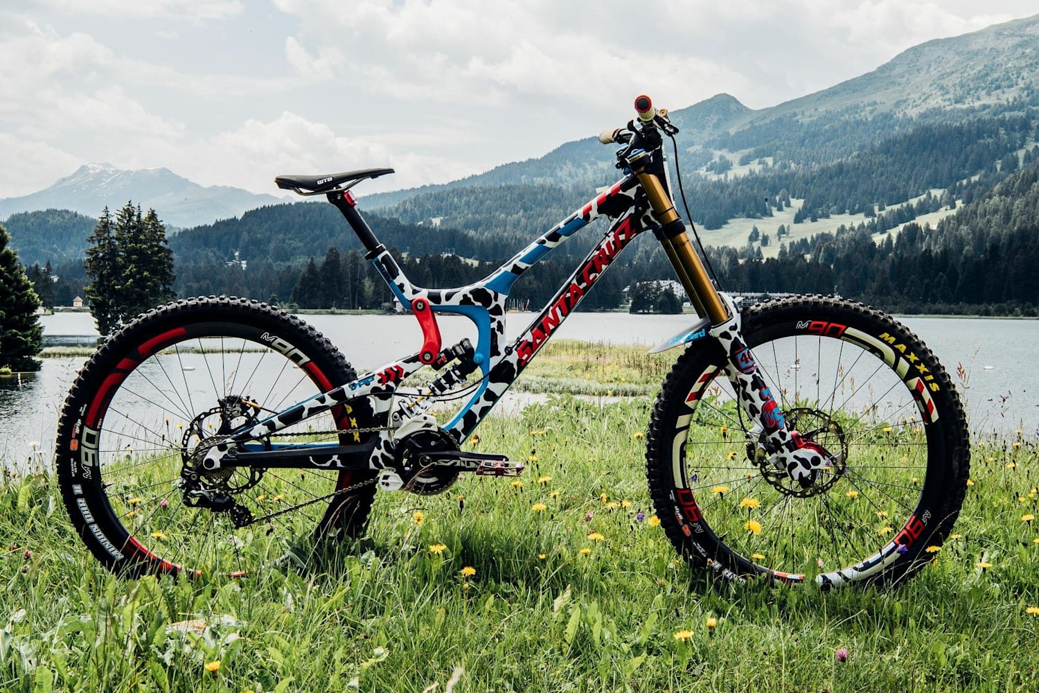 mtb custom