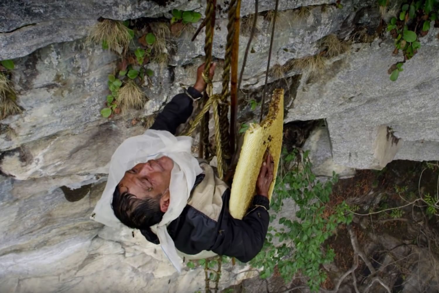 The Last Honey Hunter Behind The Scenes With masterful cinematography and sound design, we are immersed in the rhythms and rituals of a foreign world. the last honey hunter behind the scenes