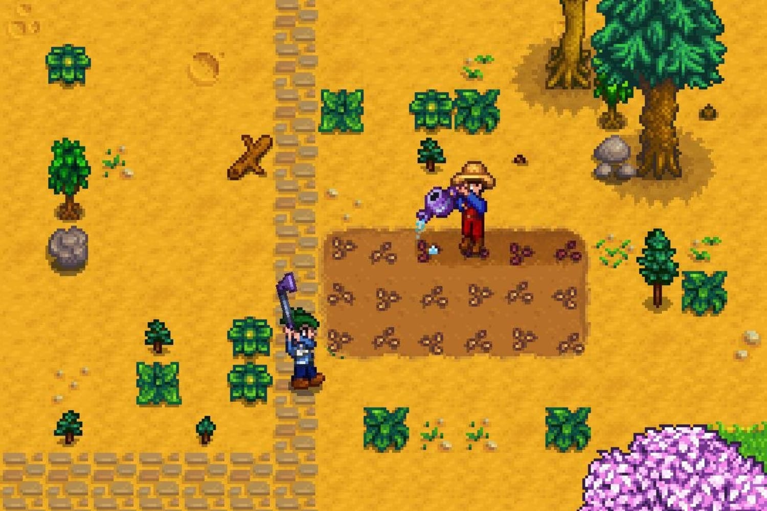 Get Started In Stardew Valley Multiplayer Red Bull