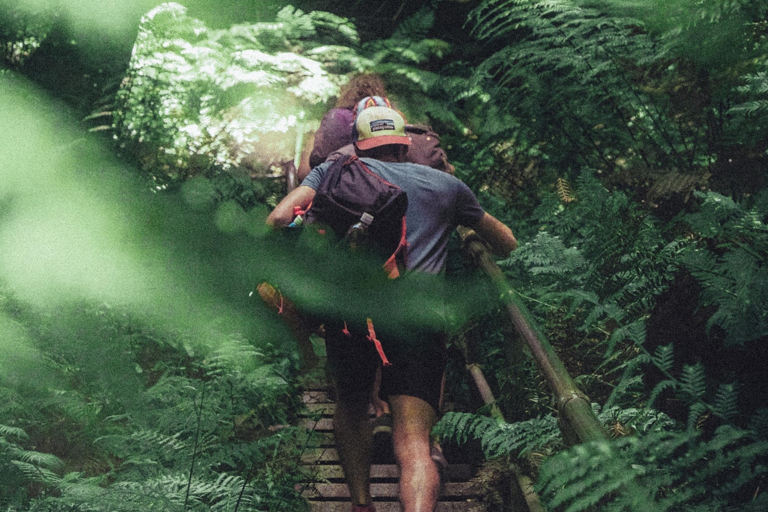 Best hikes in Sydney: 6 walks that you'll love