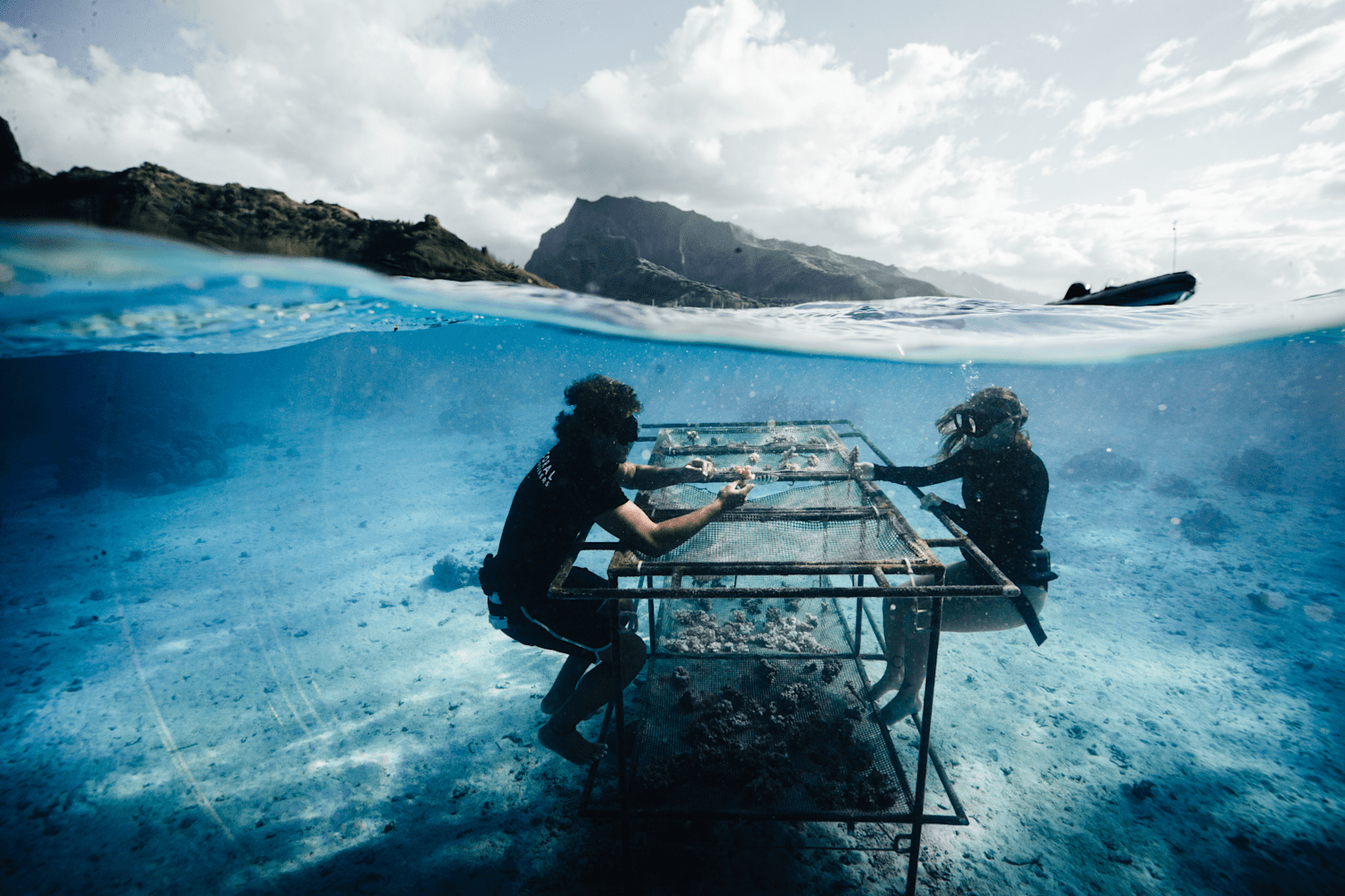 les coral gardeners sauvent les recifs coraliens