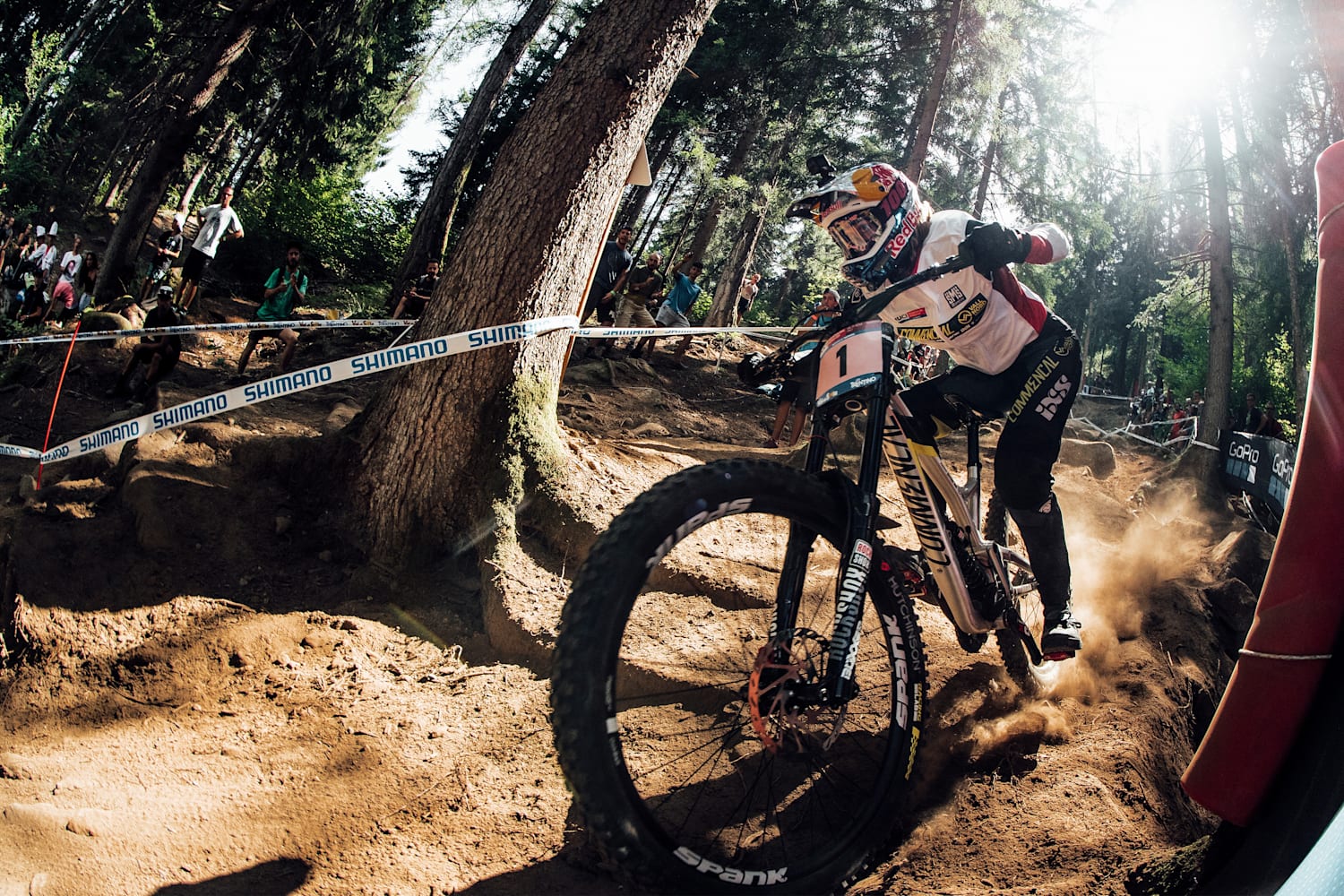 dh championship 2020