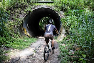 bukit timah bike trail