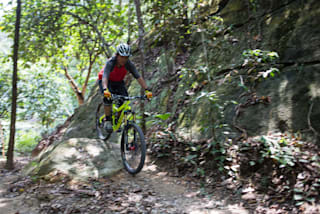 singapore mountain bike trails chestnut nature park