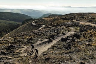 dyfi mtb trails