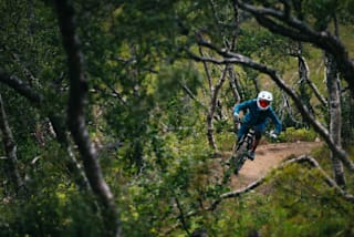 the wilds mountain bike trail