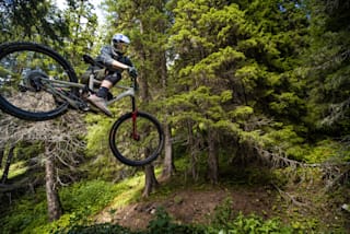 mountain bike whip