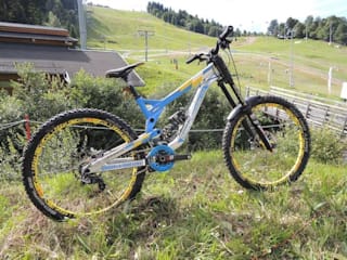 nukeproof pulse 2019