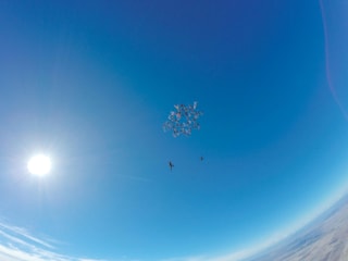 総勢65名の女性スカイダイバーが世界新記録を更新 Adventure