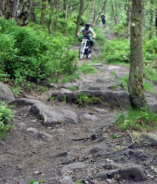 grenoside woods mtb