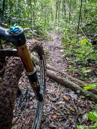 Mountain bike para trilha