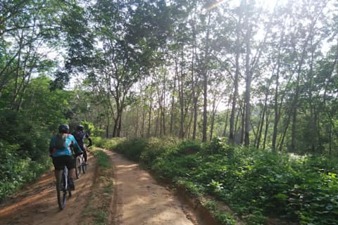 Up North The Pasak Trails