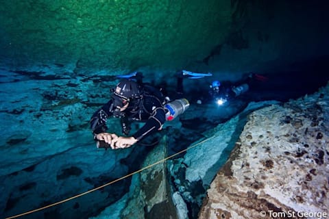 世界のエクストリーム ダイビングスポット 9選 スキューバ 海外旅行 レッドブル