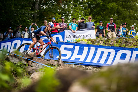 top 10 mtb tires
