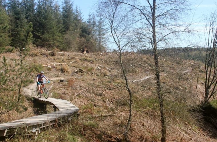 swinley forest bike hub