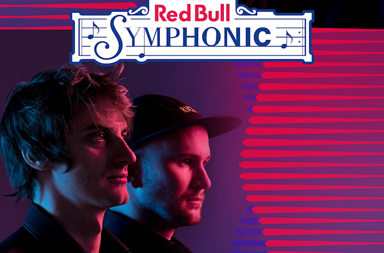 red bull batalla de los gallos 2019 finalists profiles