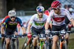 Avancini schurter sales