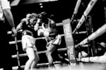 Undisputed: Women's Boxing 2023