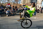 Pop Stars New York City s Bike Life Culture