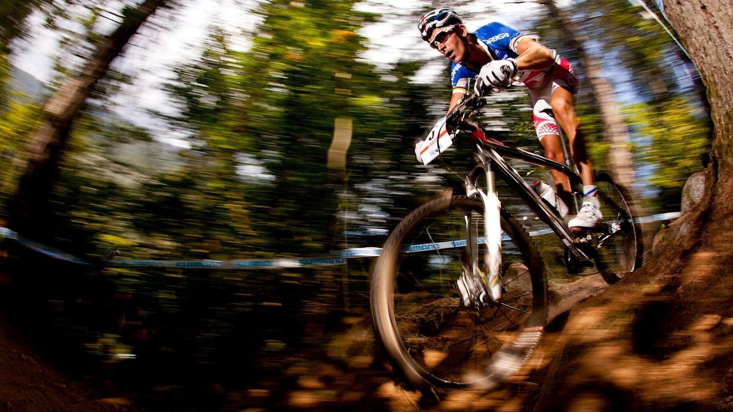 La mtb clearance