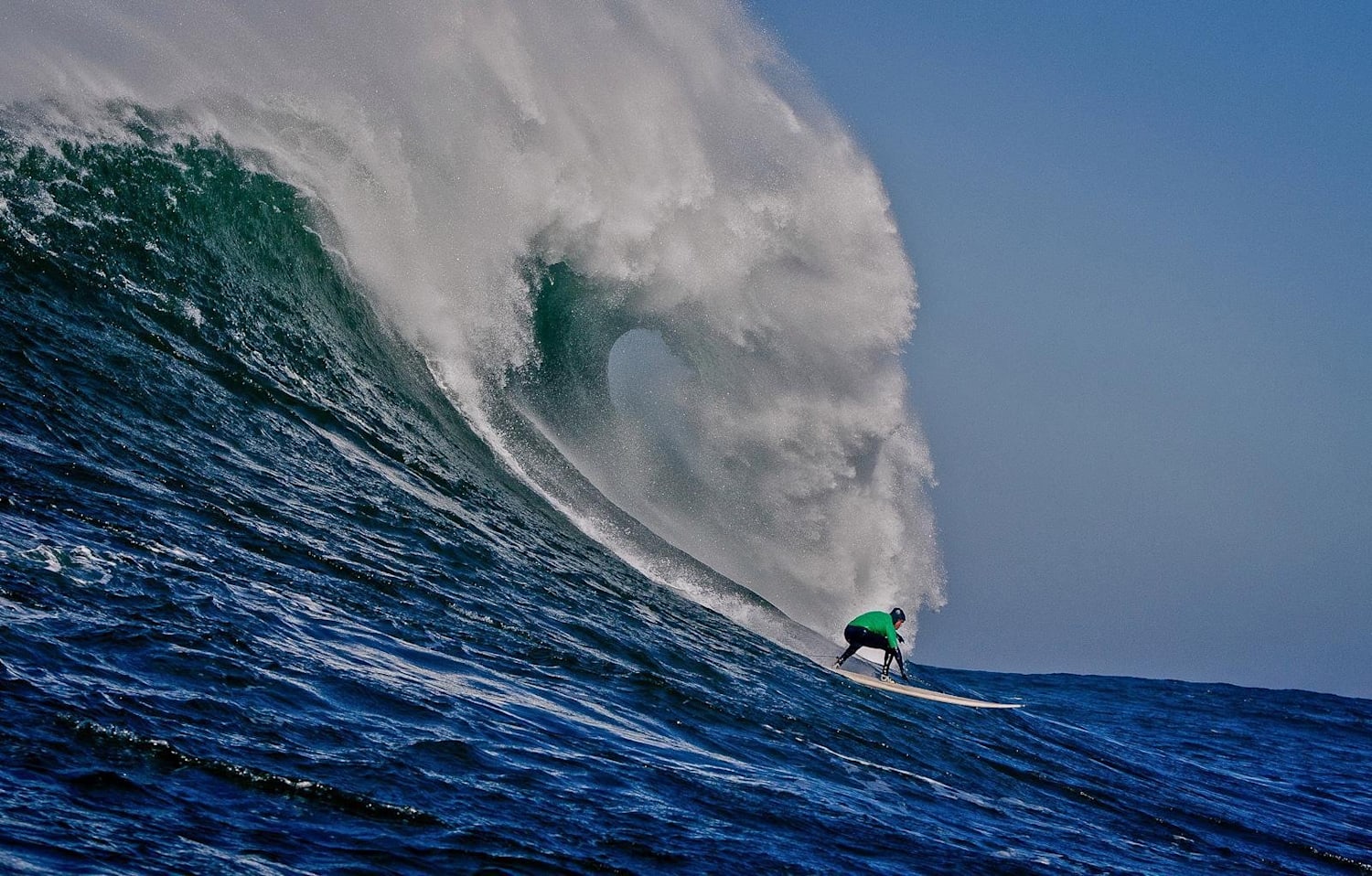Nelscott store reef surf