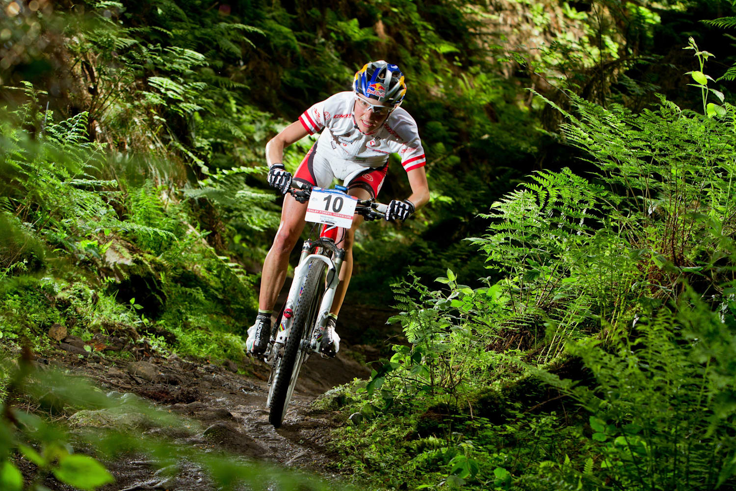 Gnarly mtb top