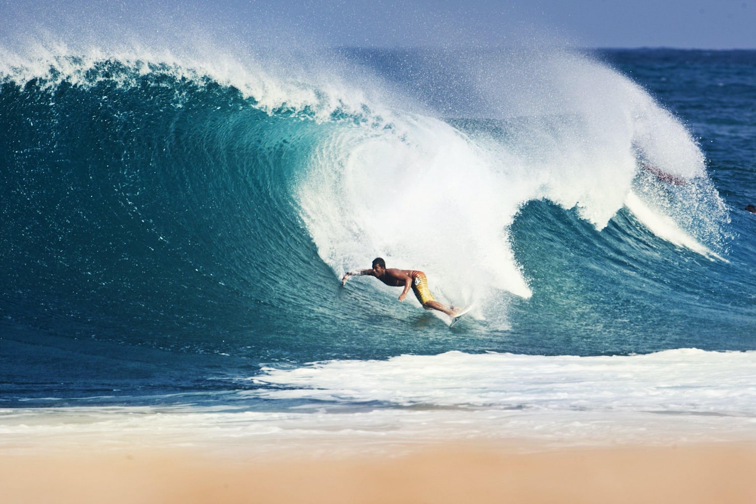 North shore surf shop spots