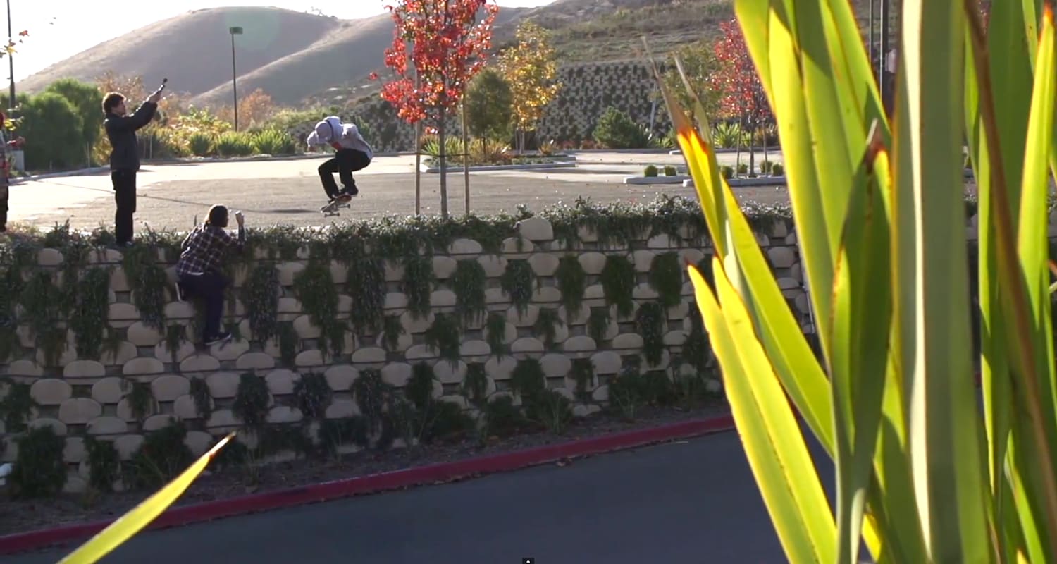 Best Of Sheckler Sessions
