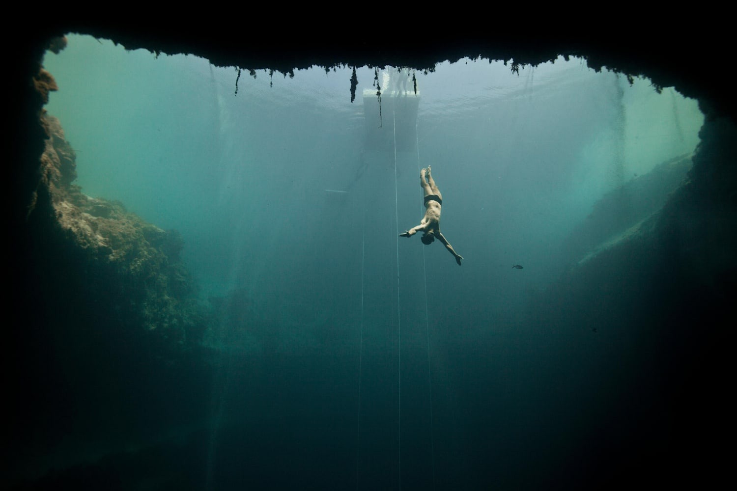 free-diving-in-dean-s-blue-hole-off-the-coast-of-belize-bahamas