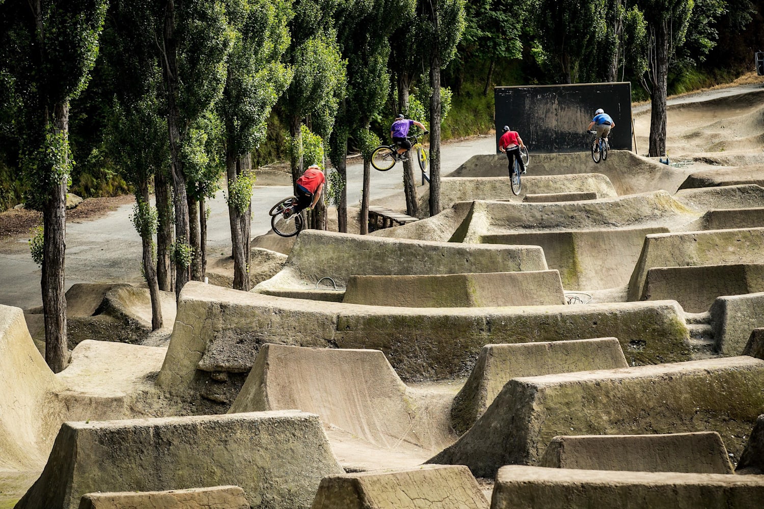 dirt jumper on trails