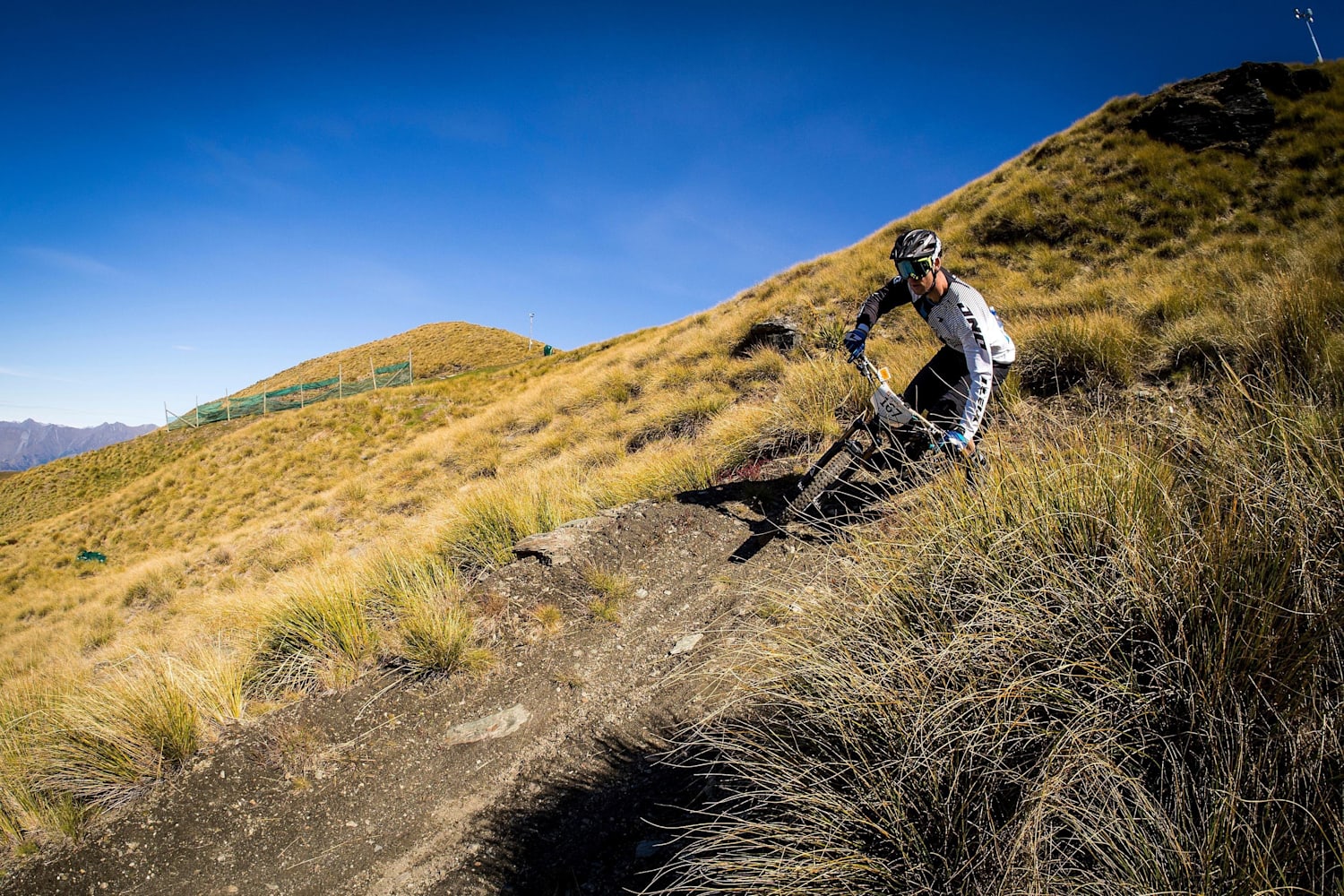 Cole mountain bike hot sale
