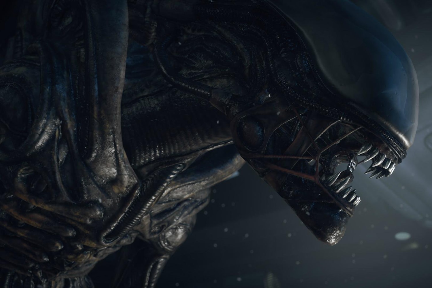 Alien Isolation Horror Back To Terrifying Basics