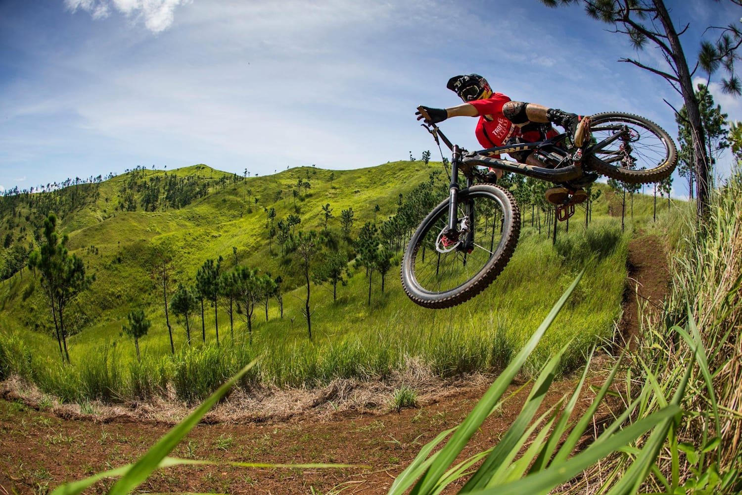 downhill bars