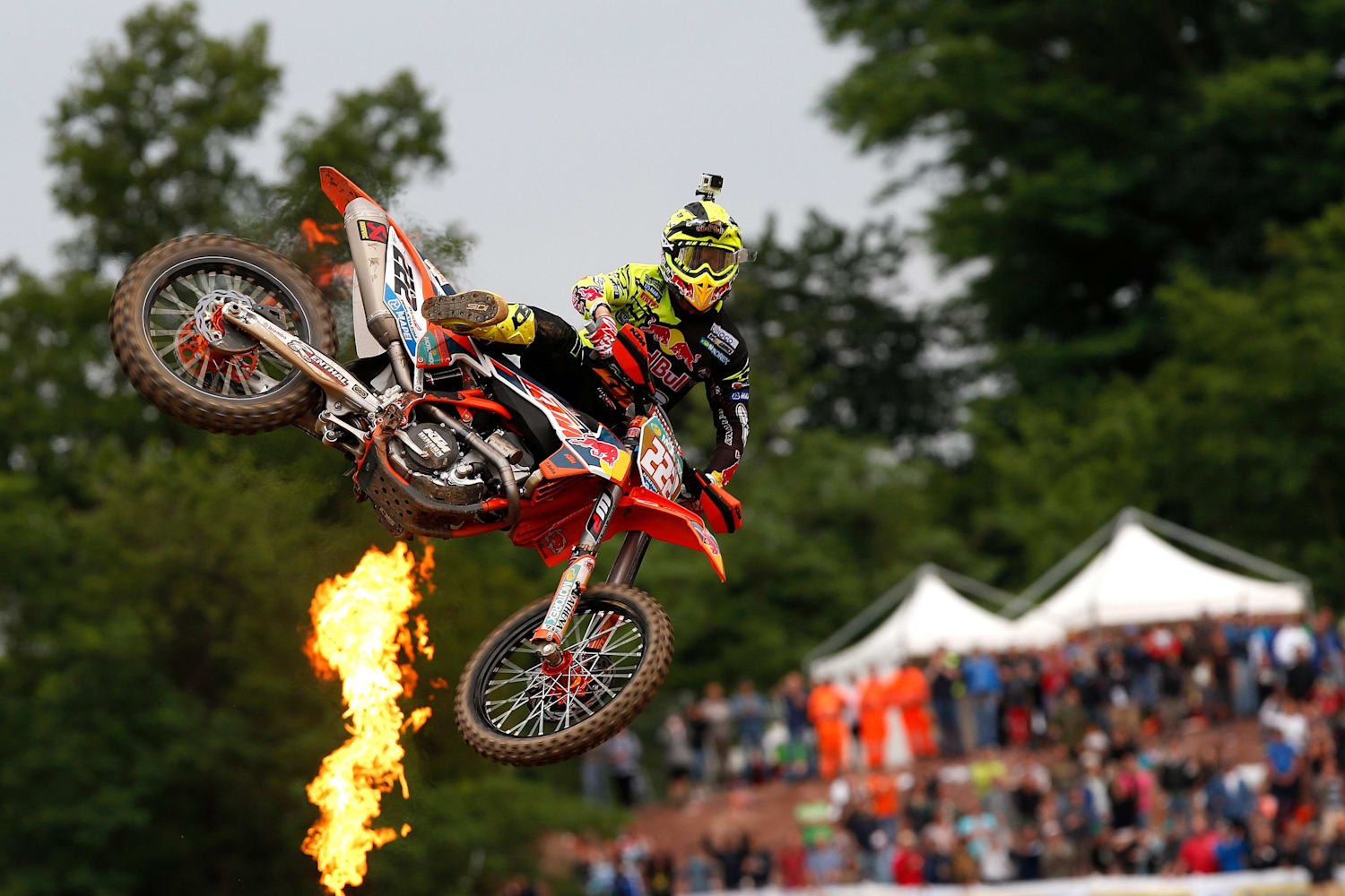 73 Best Seller Antonio cairoli book for Reading