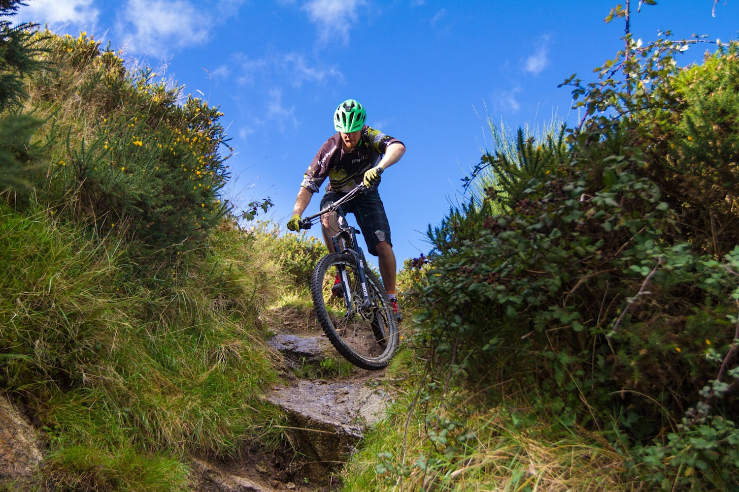 Specialized Enduro Comp Review mountain biking
