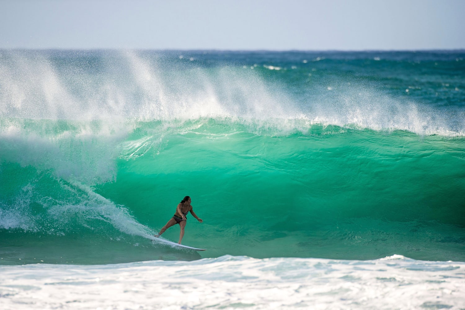 Carissa shop moore pipeline