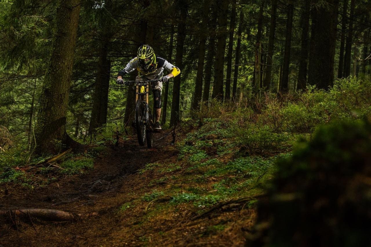 Local Love Bikepark Hahnenklee