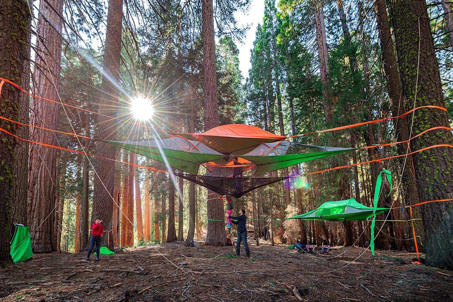 Unusual tents cheap