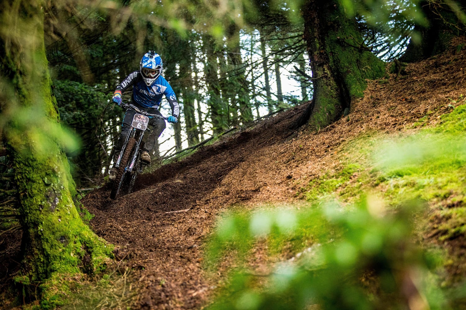 Cunningham mountain biking trails store