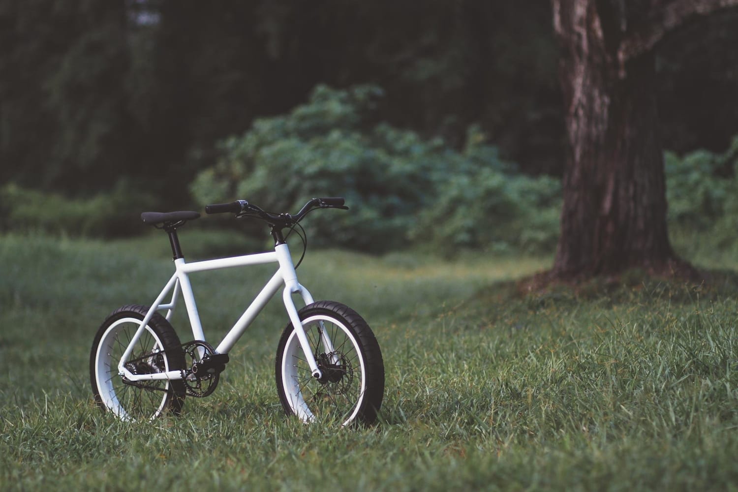 Quinn cycles hot sale