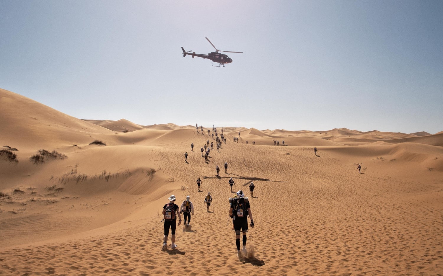 Marathon des clearance sables shop