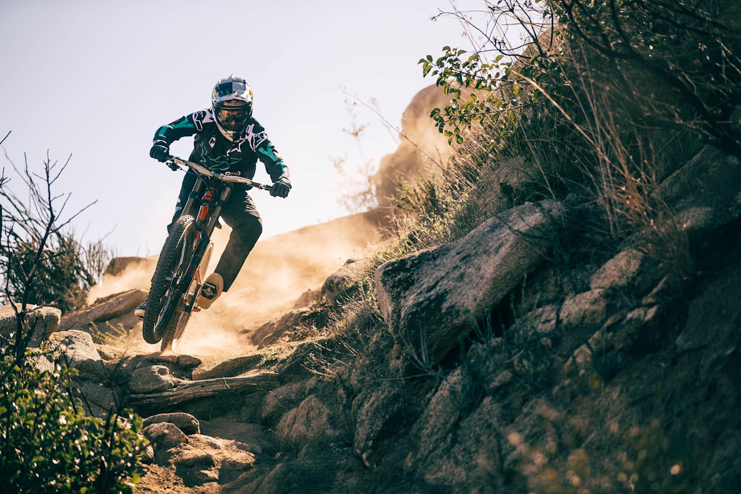 top downhill mountain bikers